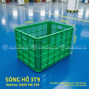 sóng hở 3t9 xanh lá